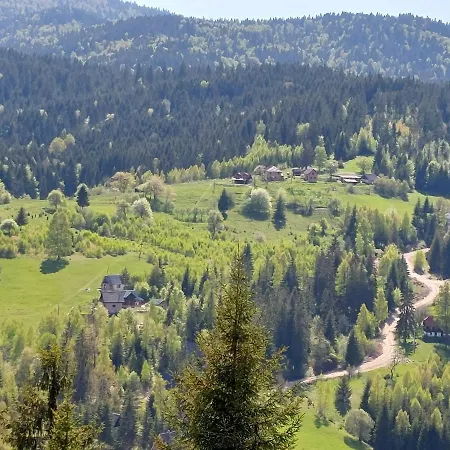 Mica - Std Bojovici Zlatar Nova Varos