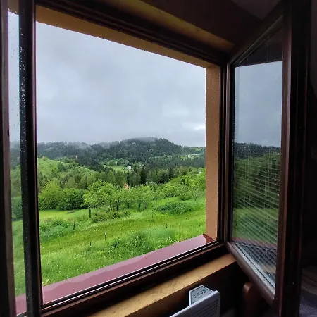 Mica - Std Bojovici Zlatar *