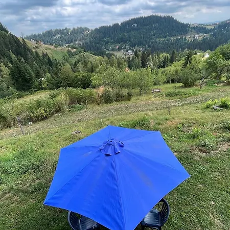 Mica - Std Bojovici Zlatar *