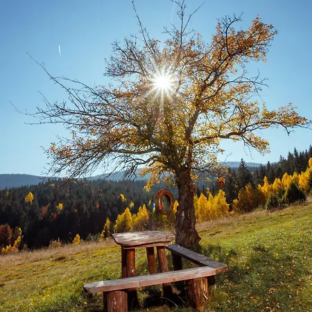Mica - Std Bojovici Zlatar