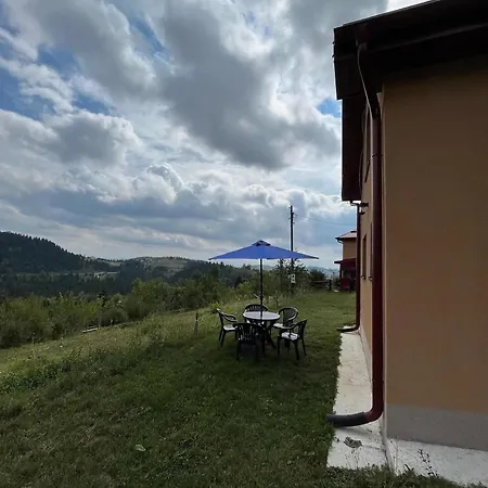 Mica - Std Bojovici Zlatar *