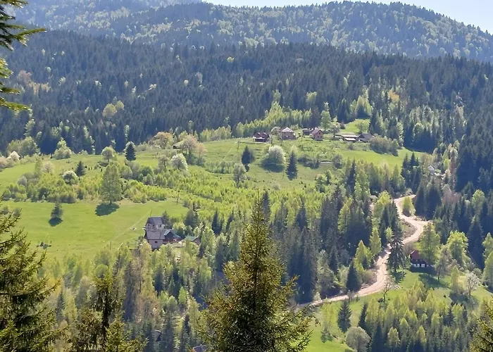 Mica - Std Bojovici Zlatar Nova Varoš