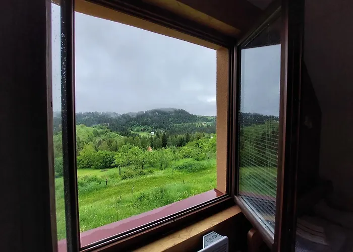 Mica - Std Bojovici Zlatar *