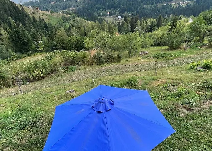 Mica - Std Bojovici Zlatar *