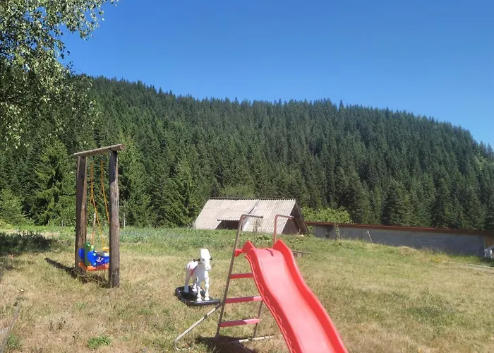 Mica - Std Bojovici Zlatar * Nova Varoš